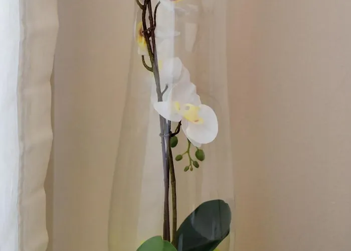 Appartement We - Corso Saba House *